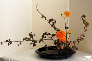 ikebana5664