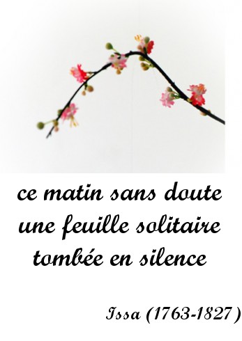 exemple de haiku